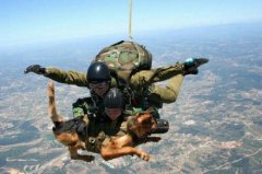 ׸ЩHeroDog