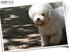 ڹǹؽ׵